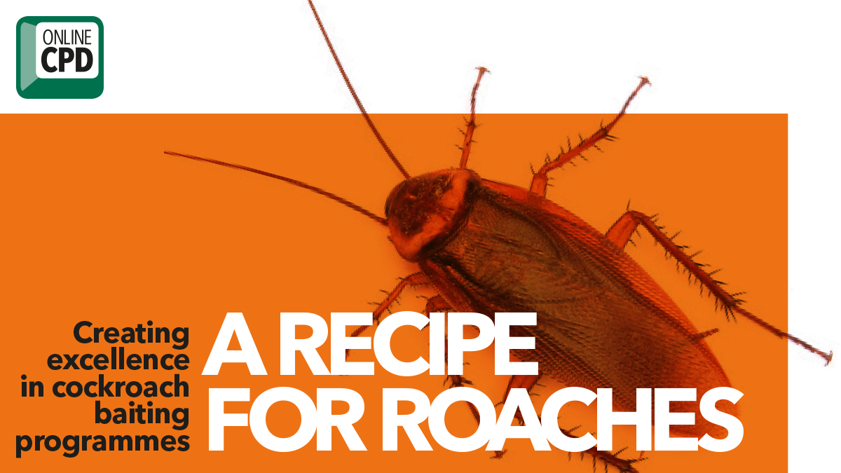 Creating excellent cockroach baiting programmes